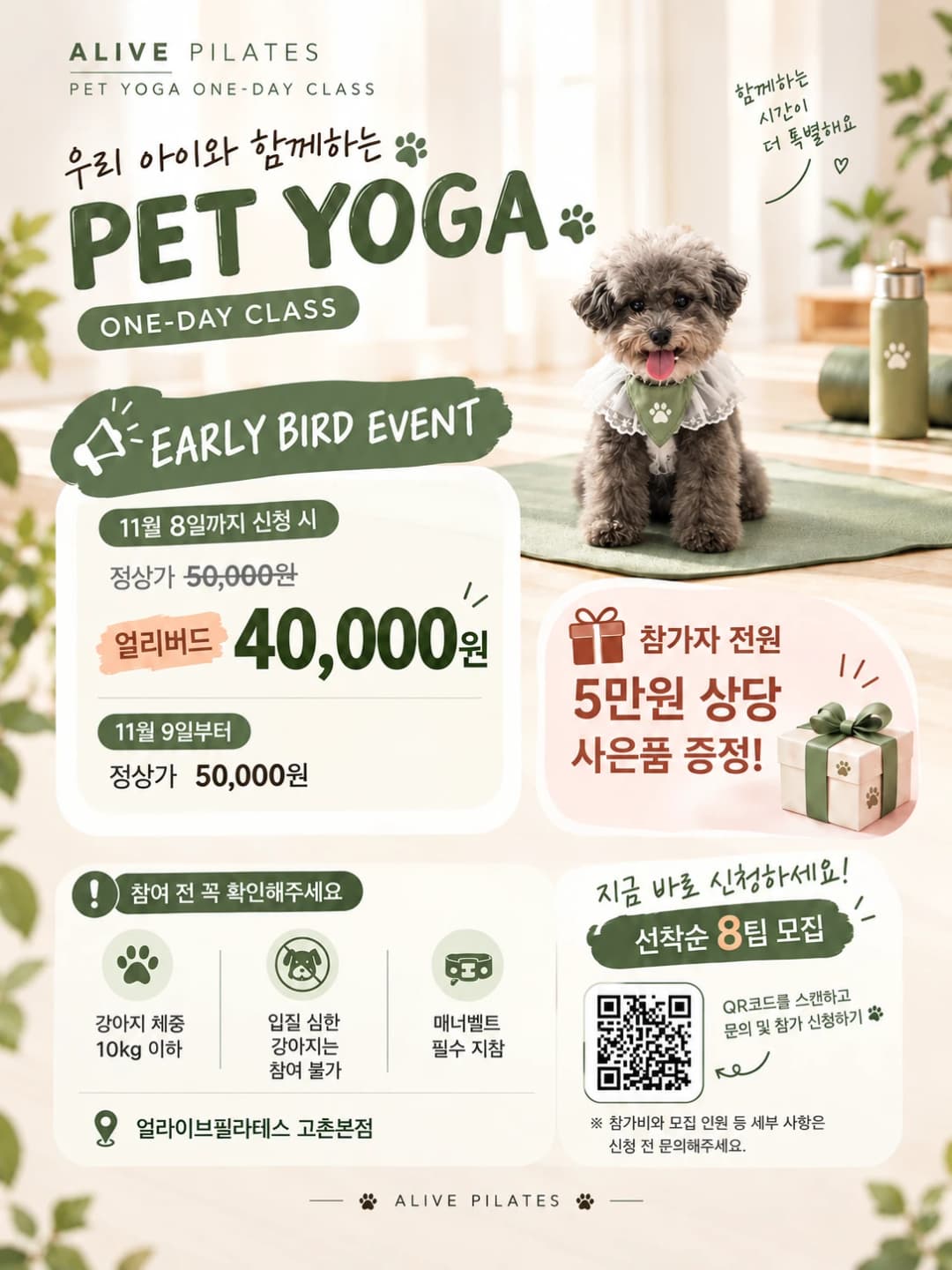 PET YOGA 얼리버드 안내 포스터 — 카카오톡 채널 QR 포함